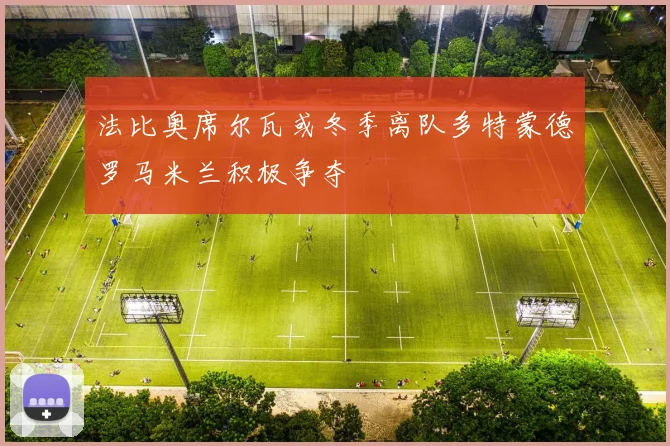 法比奥席尔瓦或冬季离队多特蒙德罗马米兰积极争夺